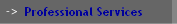 Professional Services